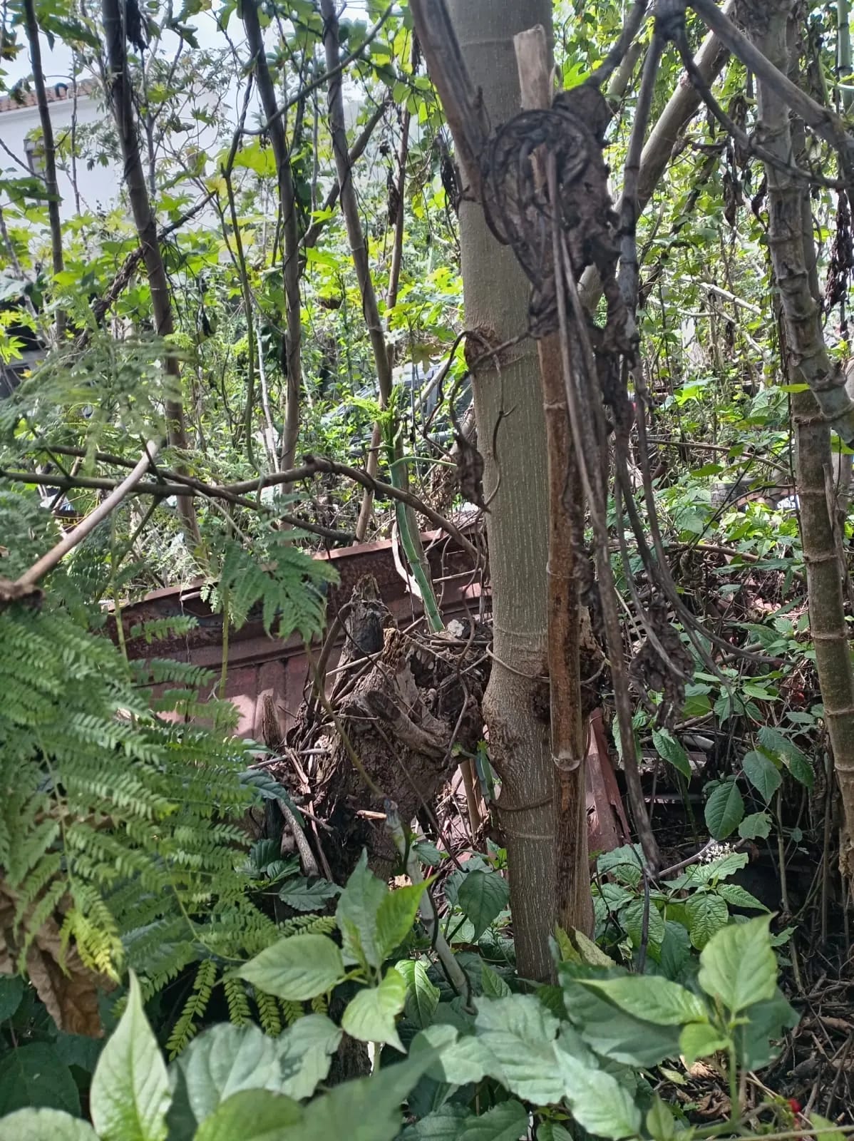 Terreno en San Bartolomé Becerra, Antigua Guatemala — Terreno en Venta en Antigua, Sacatepéquez — foto 2 de 3