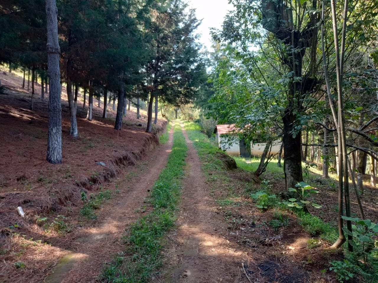 Terreno en Santa María Cauqué, Santiago Sacatepéquez — Terreno en Venta en Santiago Sacatepéquez, Sacatepéquez — foto 2 de 9
