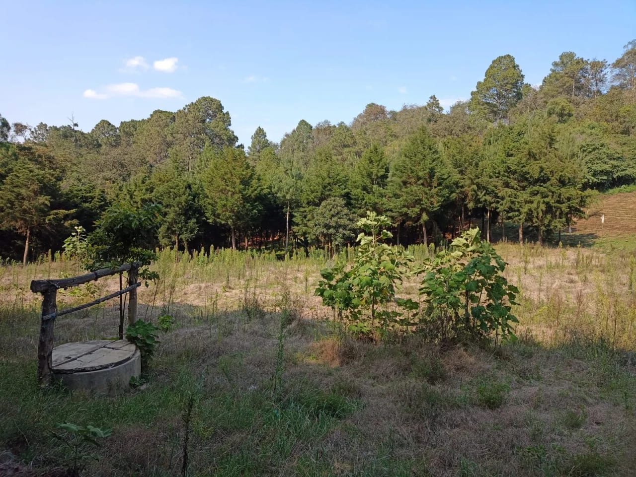 Terreno en Santa María Cauqué, Santiago Sacatepéquez — Terreno en Venta en Santiago Sacatepéquez, Sacatepéquez — foto 3 de 9