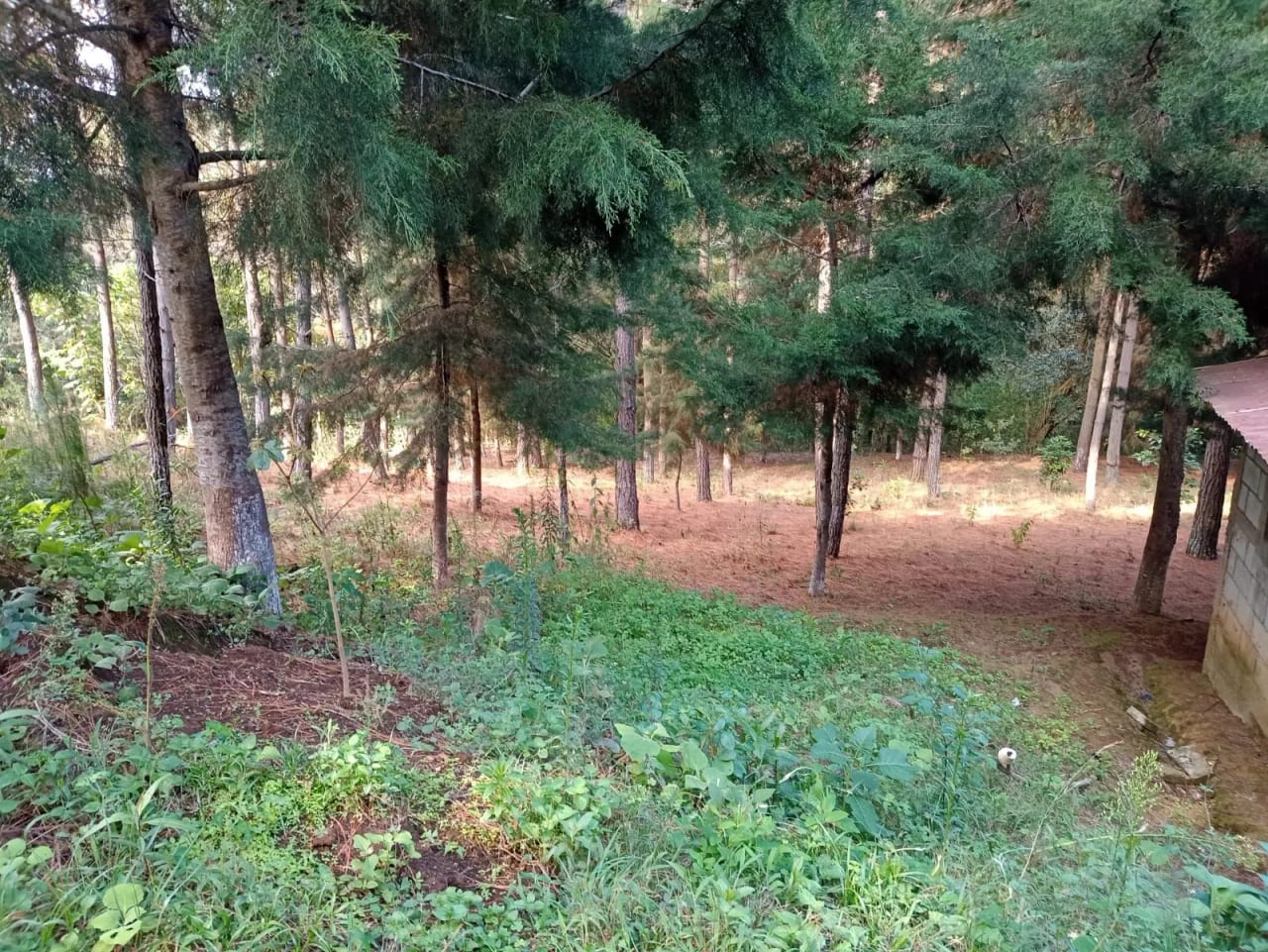 Terreno en Santa María Cauqué, Santiago Sacatepéquez — Terreno en Venta en Santiago Sacatepéquez, Sacatepéquez — foto 4 de 9