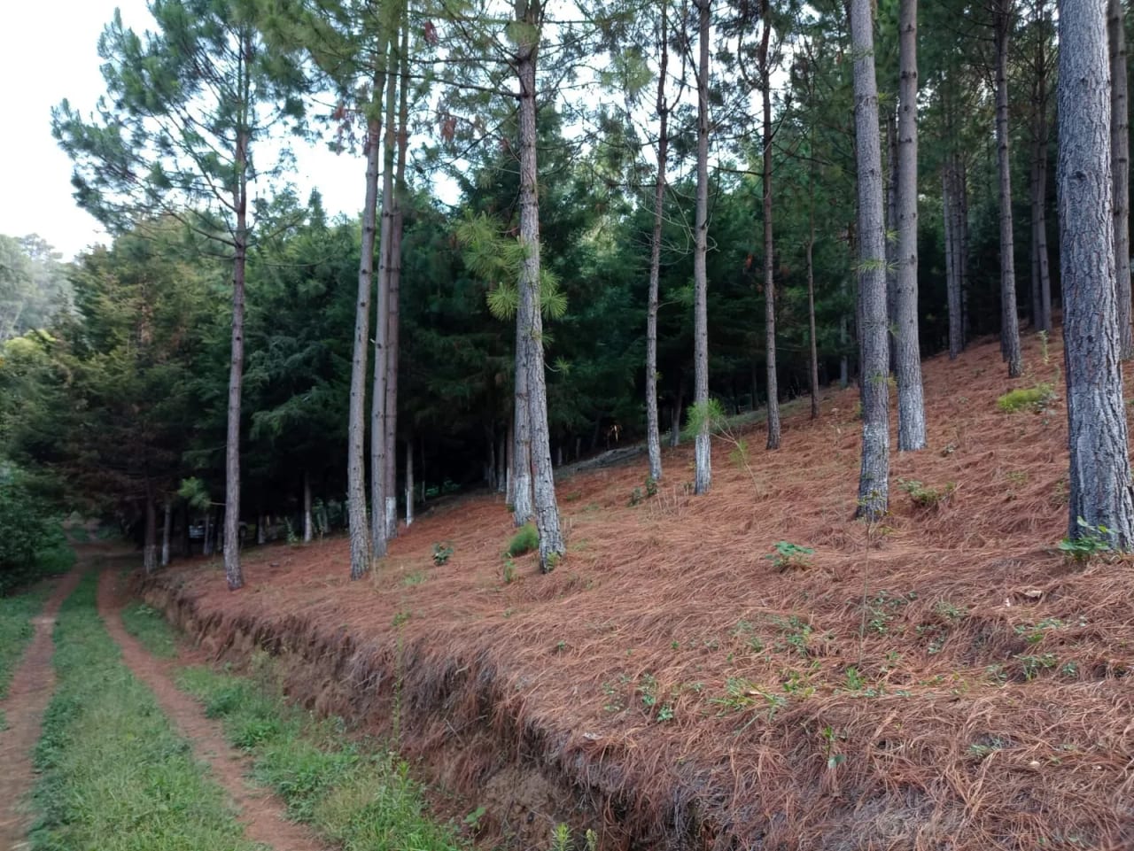 Terreno en Santa María Cauqué, Santiago Sacatepéquez — Terreno en Venta en Santiago Sacatepéquez, Sacatepéquez — foto 5 de 9