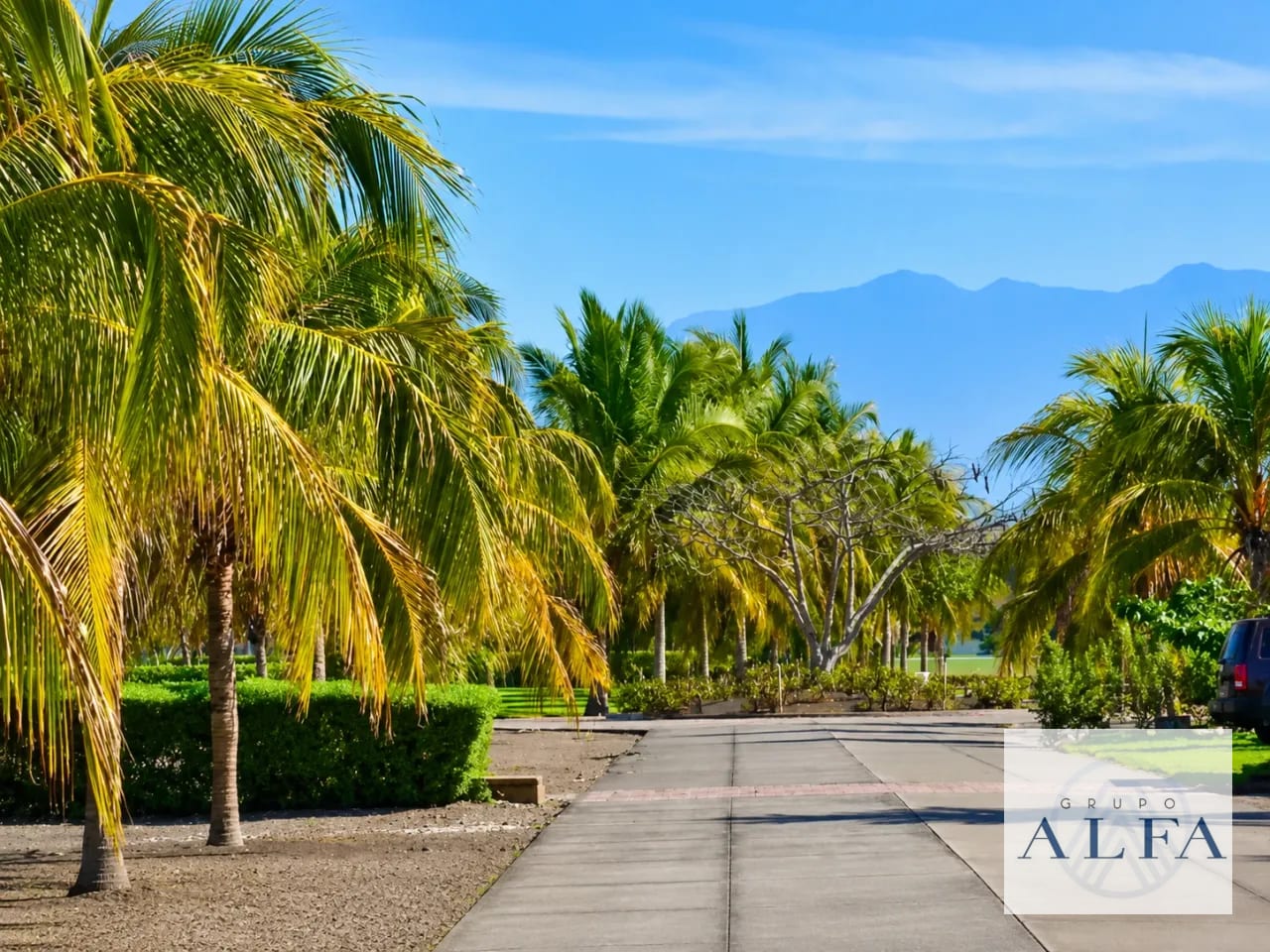 Hermoso Terreno de Playa 2,000 V Palmeras de Monterrico — Terreno en Venta en Monterrico, Santa Rosa — foto 6 de 7