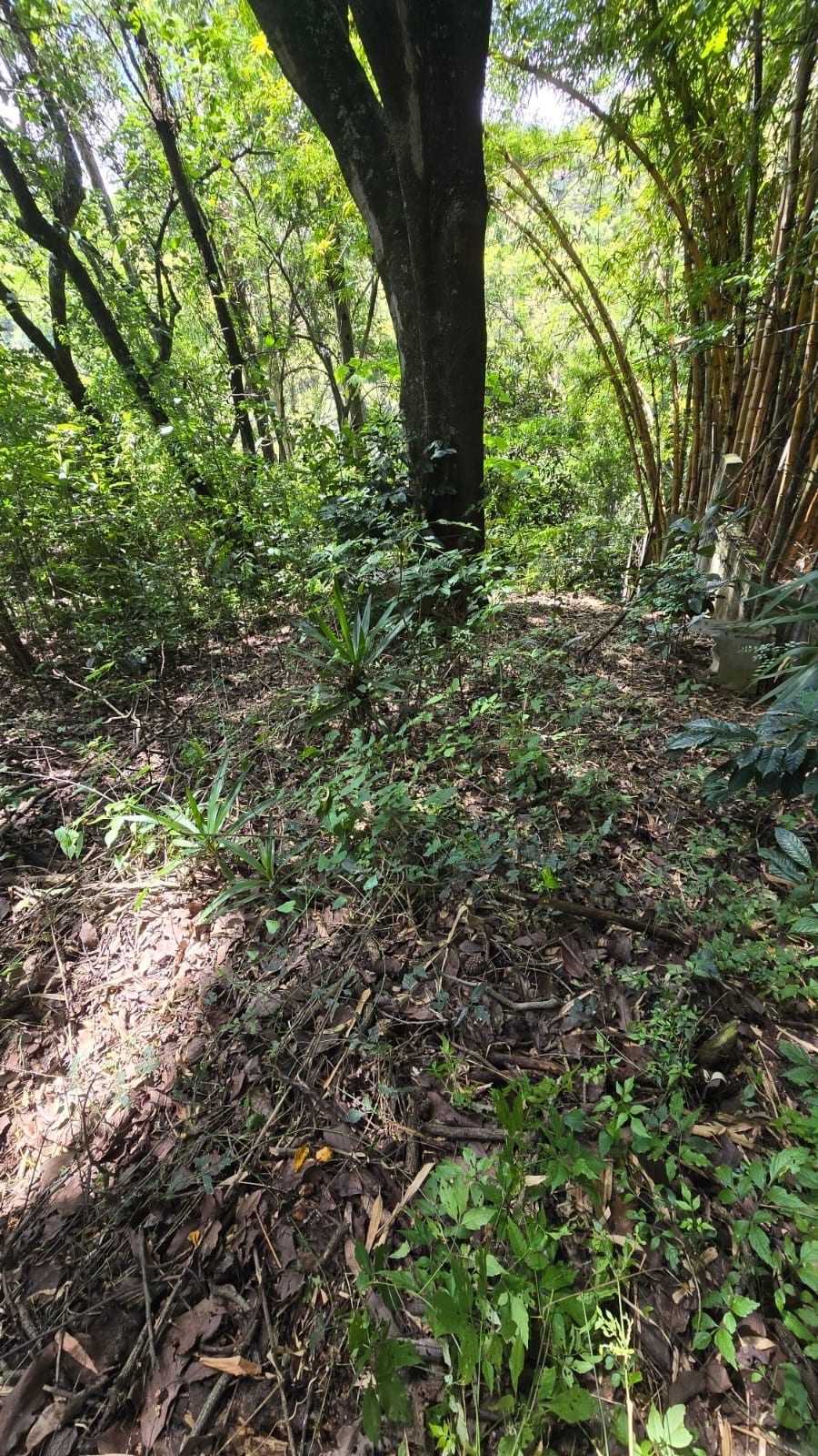 Hermosa y Amplia Propiedad en Venta en San Cristóbal, Mixco! ✨🏡 — Casa en Venta en Zona 8 Mixco, Guatemala, Ciudad — foto 12 de 14