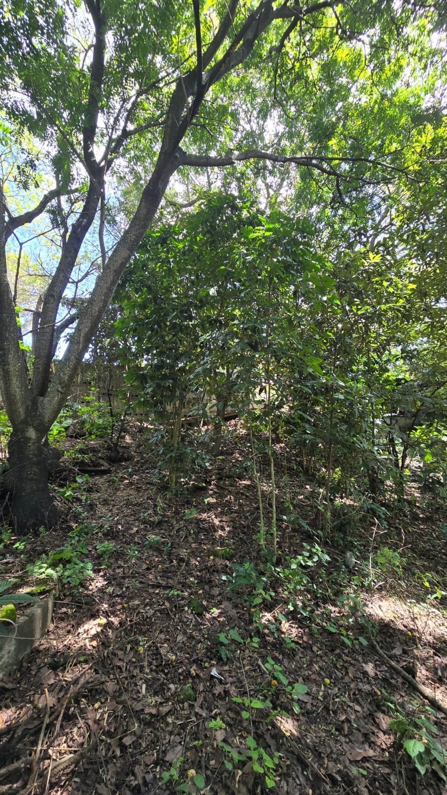 Hermosa y Amplia Propiedad en Venta en San Cristóbal, Mixco! ✨🏡 — Casa en Venta en Zona 8 Mixco, Guatemala, Ciudad — foto 13 de 14