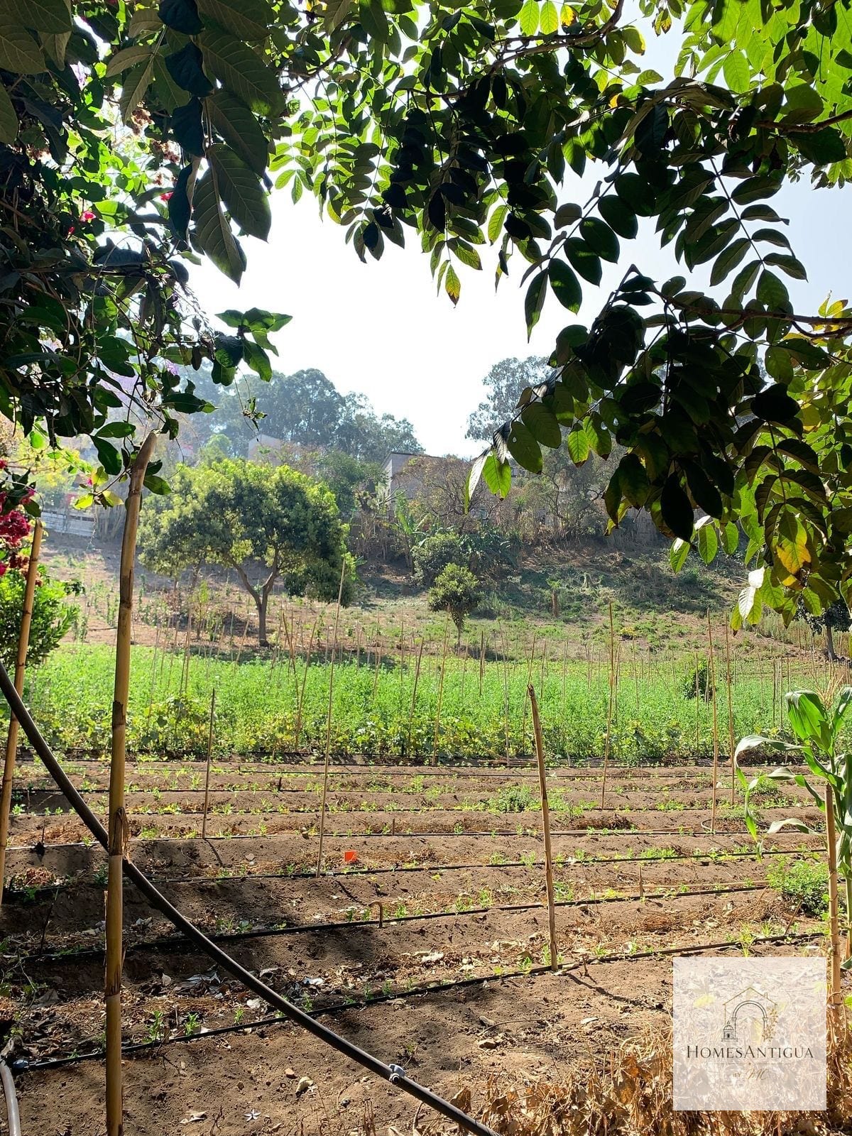 Terreno en Venta en Antigua Guatemala Sobre Carretera San Felipe â Terreno en Venta en Antigua, SacatepĂ©quez â foto 6 de 6
