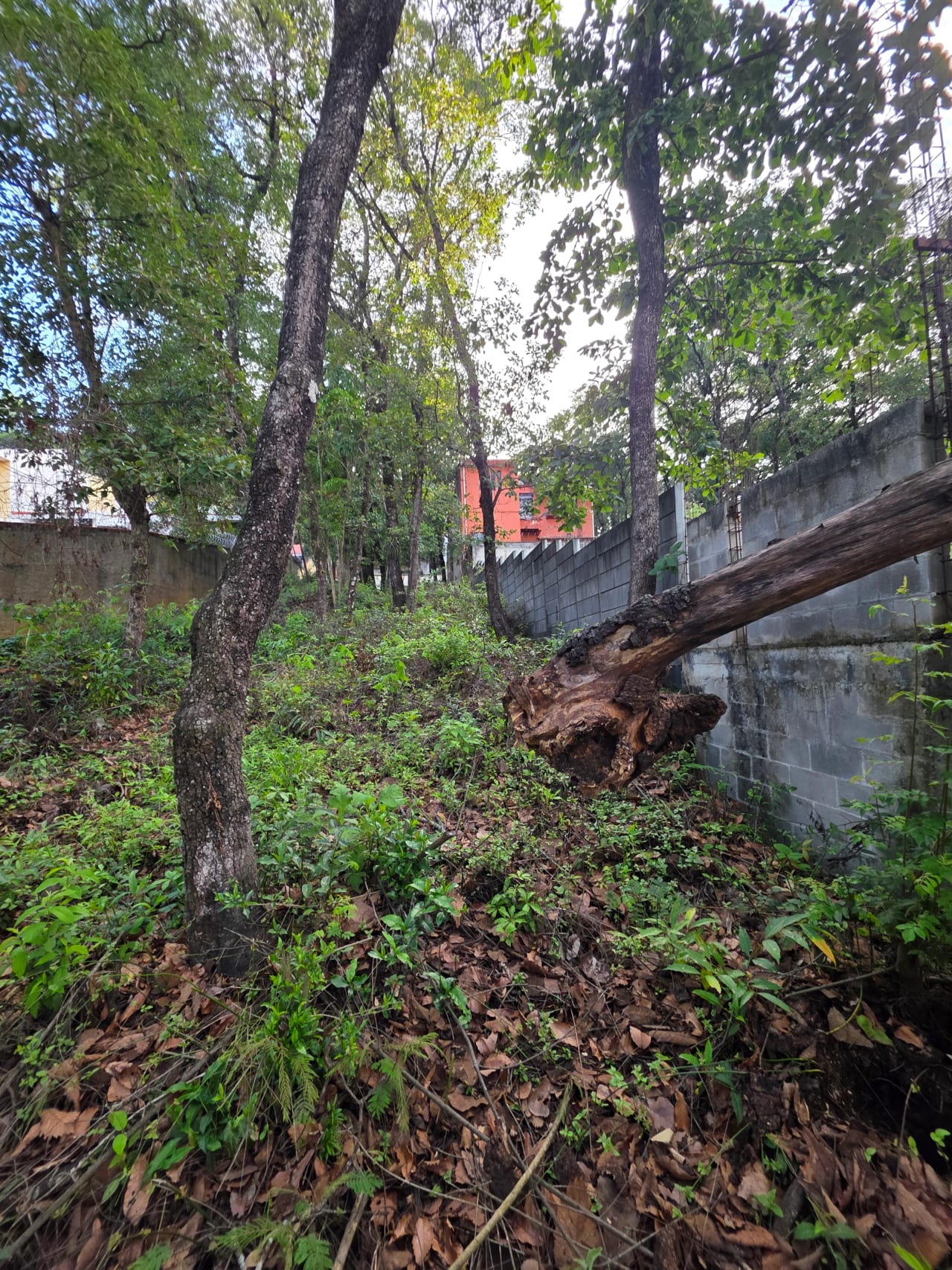 Terreno en venta en Las Hojarascas — Terreno en Venta en Las Hojarascas, Zona 1 Mixco, Guatemala, Ciudad — foto 1 de 3