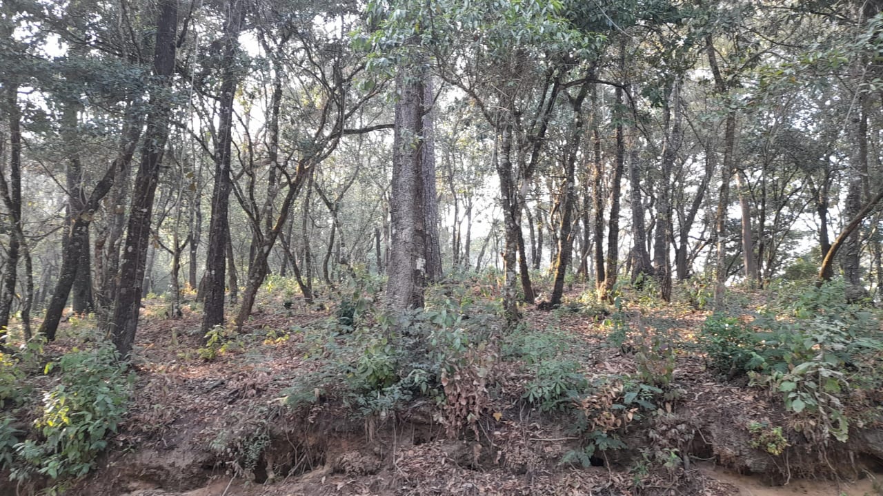 Terreno en Venta en en el Encinal Zona 7 Mixco — Terreno en Venta en El Encinal, Zona 7 Mixco, Guatemala, Ciudad — foto 5 de 5