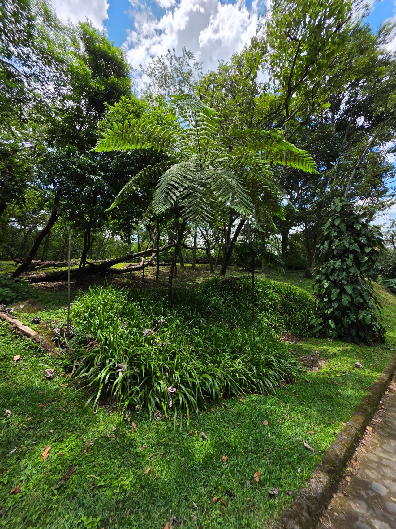 Terreno La Reunión La Antigua Guatemala — Terreno en Venta en La Reunión Golf Resort, Alotenango, Sacatepéquez — foto 1 de 2