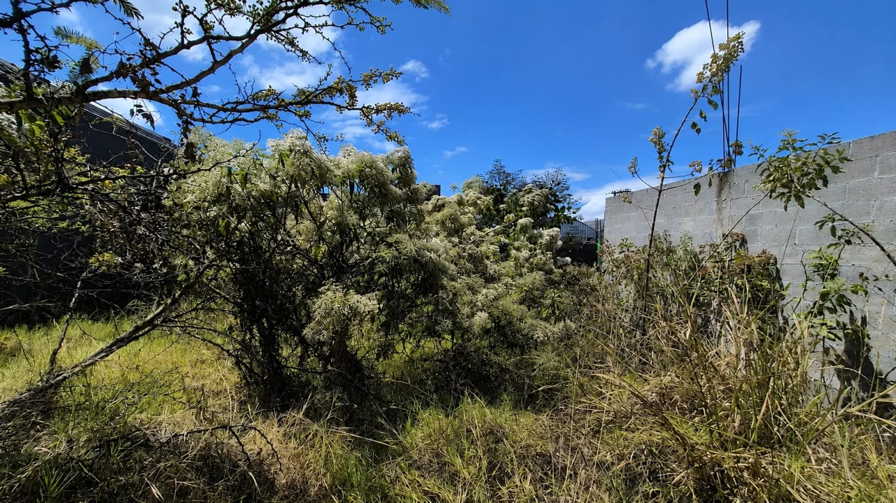 Terreno en Venta zona 2 Mixco — Terreno en Venta en Zona 2 Mixco, Guatemala, Ciudad — foto 1 de 3