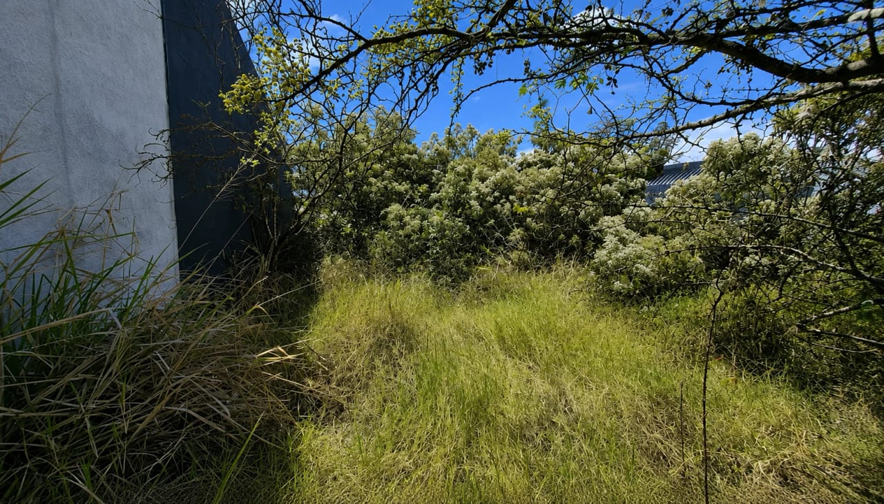 Terreno en Venta zona 2 Mixco — Terreno en Venta en Zona 2 Mixco, Guatemala, Ciudad — foto 2 de 3