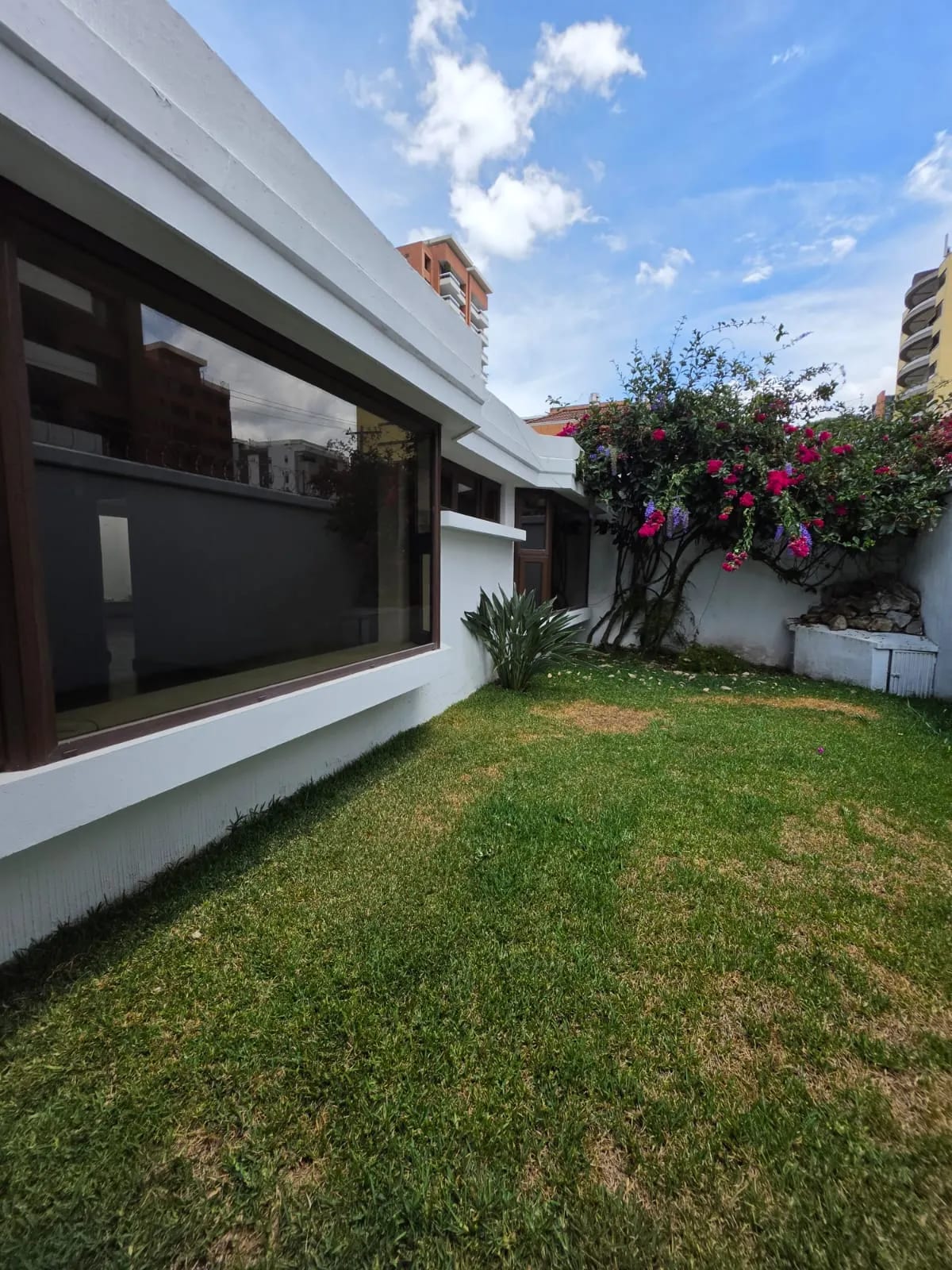 Casa/oficina zona 14 — Oficina en Alquiler en Zona 14, Guatemala, Ciudad — foto 10 de 11