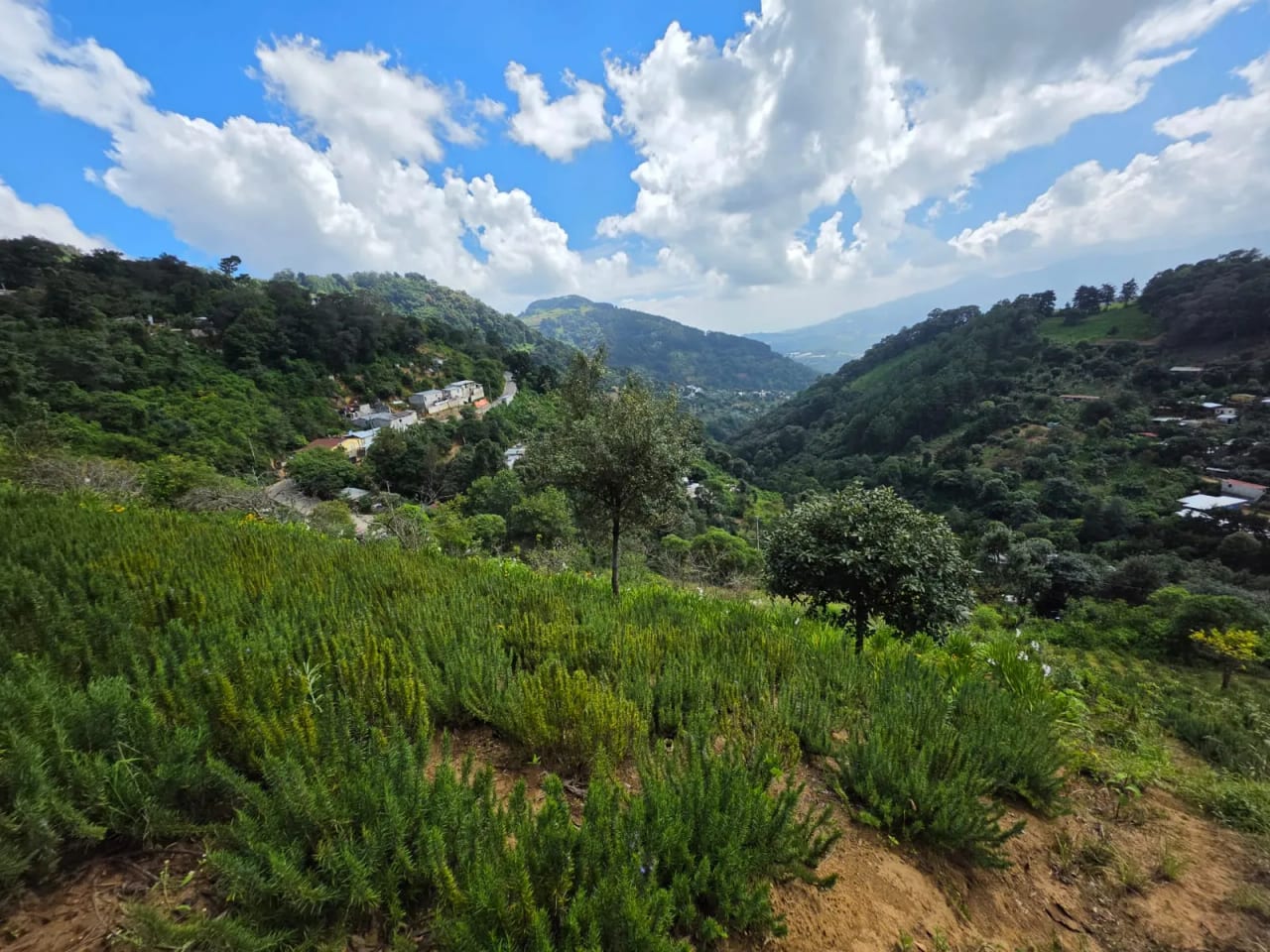 Terreno Venta El Hato, Vuelta Grande, Sacatepequez — Terreno en Venta en Antigua, Sacatepéquez — foto 6 de 7