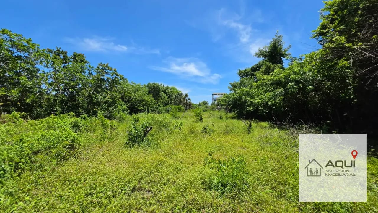 ¡se Venden Terrenos en Garitón, Taxisco, Santa Rosa — Terreno en Venta en Taxisco, Santa Rosa — foto 5 de 8