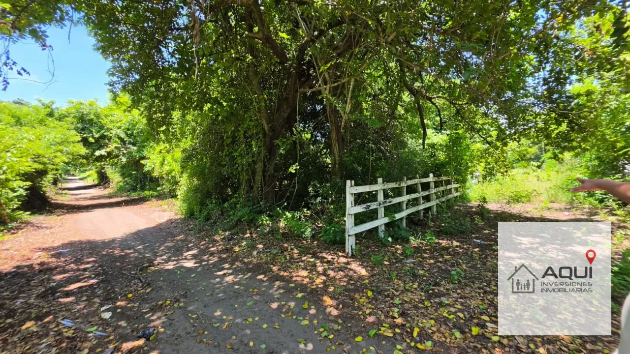 ¡se Venden Terrenos en Garitón, Taxisco, Santa Rosa — Terreno en Venta en Taxisco, Santa Rosa — foto 6 de 8