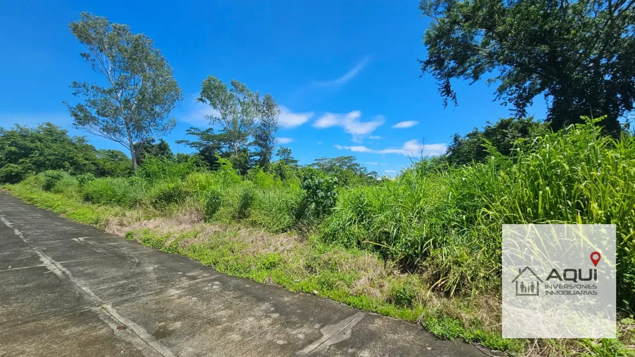 2 Terrenos en Venta-Torremolinos, kilometro 79 Autopista Escuintla — Terreno en Venta en Lagunas de Torremolinos, Escuintla, Escuintla — foto 5 de 5