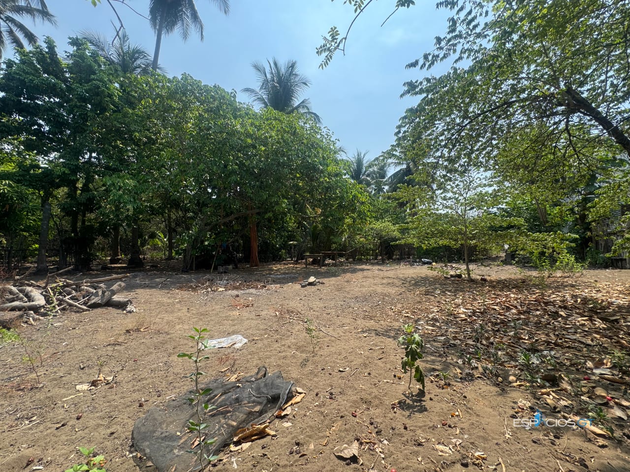 TERRENO EN VENTA EL PAREDÓN — Terreno en Venta en Sipacate, Escuintla — foto 4 de 8