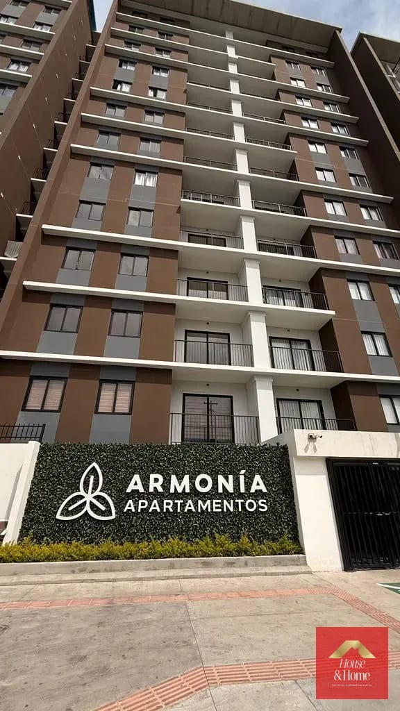 apartamento en renta zona 12 - Armonia - Image 2