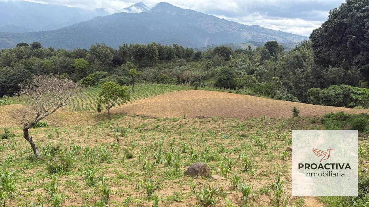 Patzicia Se Vende Finca Kilómetro 76 Camino Acatenango! — Terreno en Venta en Acatenango, Chimaltenango — foto 1 de 3