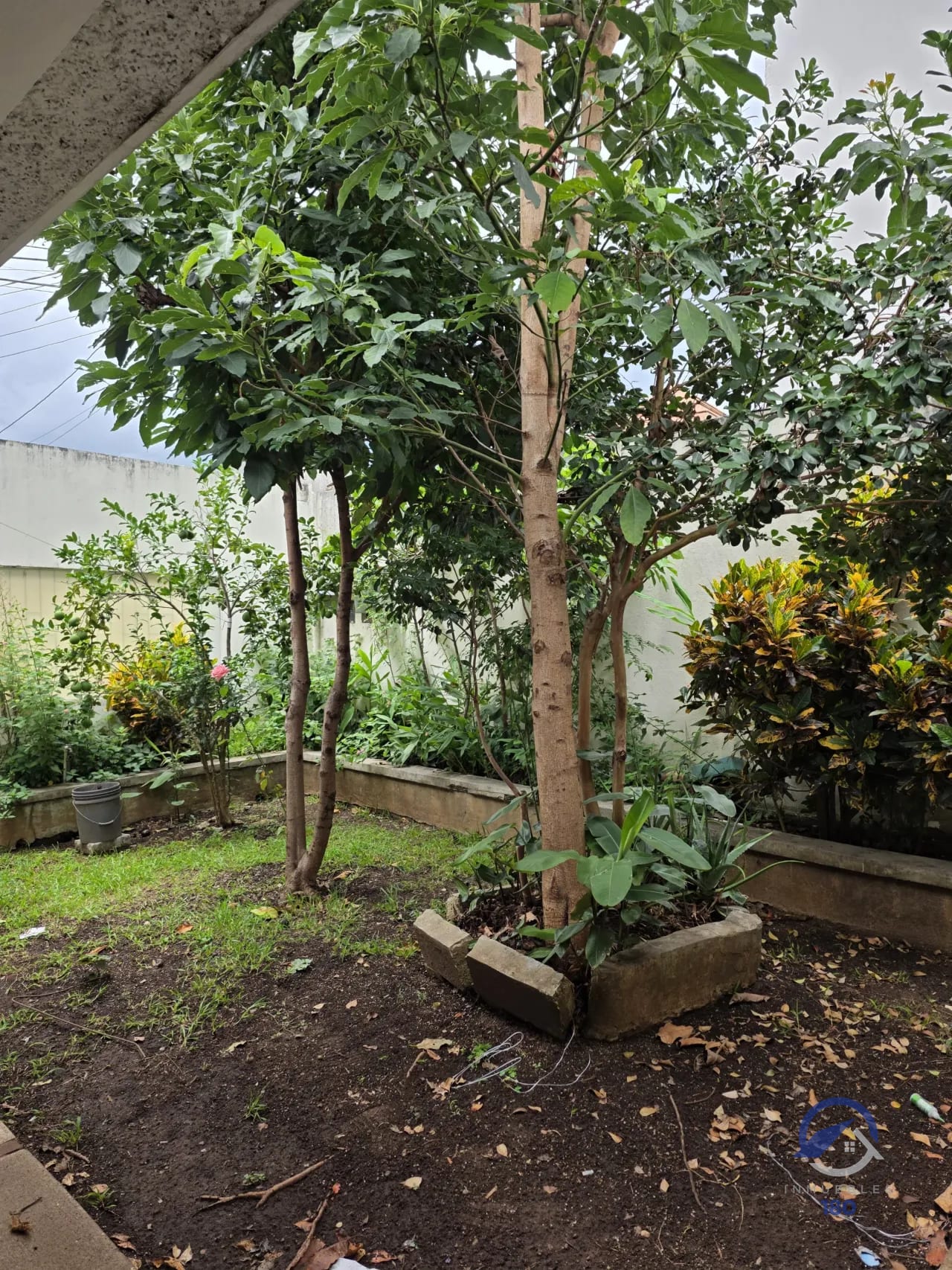Terreno con casa para demoler en venta en Colonia El Maestro, zona 15 — Terreno en Venta en Colonia El Maestro, Zona 15, Guatemala, Ciudad — foto 10 de 15