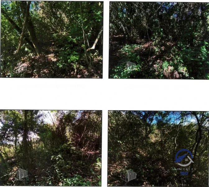 Terreno en venta en El Encinal, Tronco 15, zona 7 de Mixco — Terreno en Venta en El Encinal, Zona 7 Mixco, Guatemala, Ciudad — foto 3 de 5