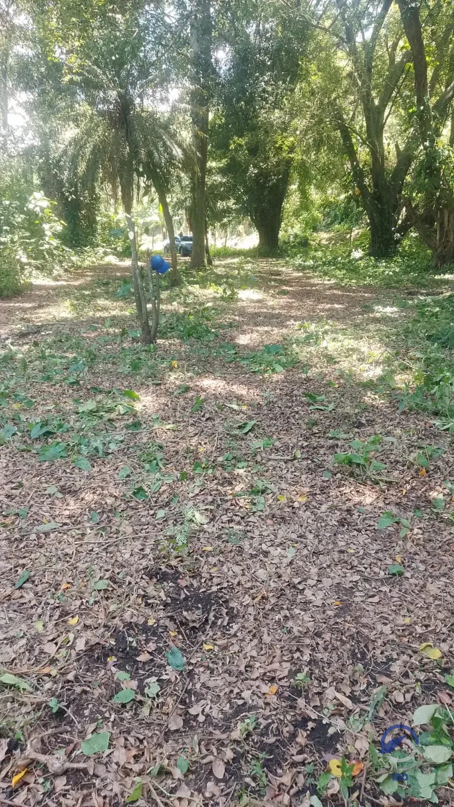 19.2 manzanas en venta en el Km. 51 Carretera Vieja a Palín, Escuintla — Terreno en Venta en Palín, Escuintla — foto 1 de 9