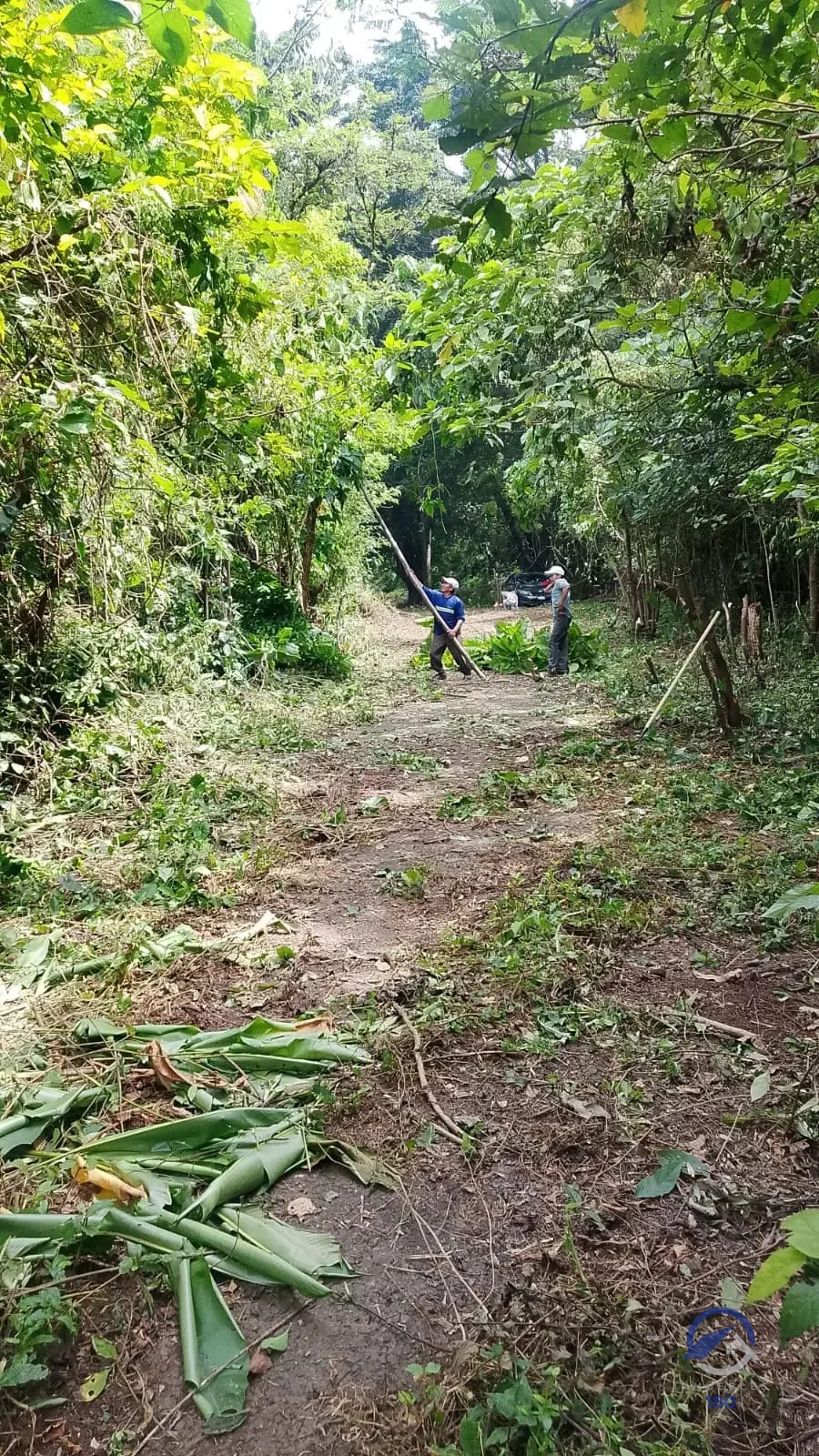 19.2 manzanas en venta en el Km. 51 Carretera Vieja a Palín, Escuintla — Terreno en Venta en Palín, Escuintla — foto 3 de 9