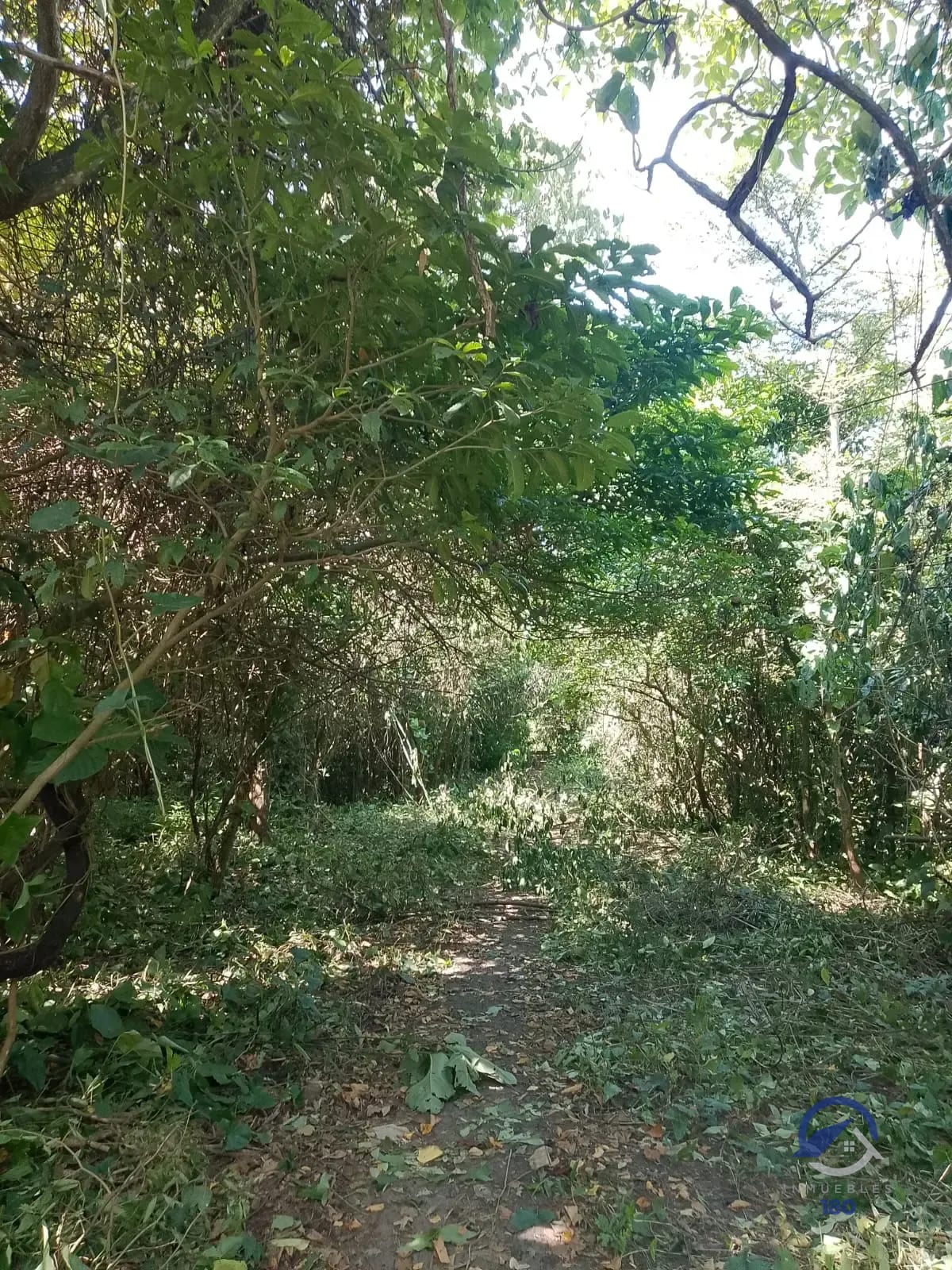 19.2 manzanas en venta en el Km. 51 Carretera Vieja a Palín, Escuintla — Terreno en Venta en Palín, Escuintla — foto 2 de 9