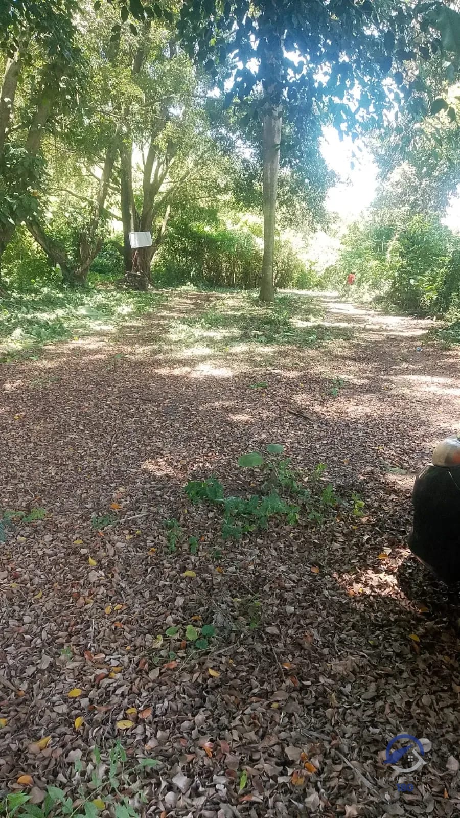19.2 manzanas en venta en el Km. 51 Carretera Vieja a Palín, Escuintla — Terreno en Venta en Palín, Escuintla — foto 8 de 9