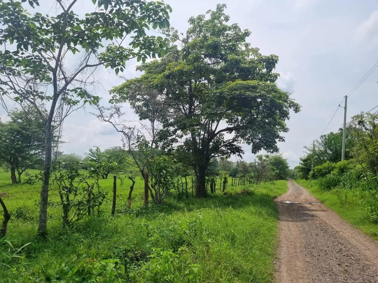 venta Terreno de 6 manzanas en Escuintla- km 71 — Terreno en Venta en Escuintla, Escuintla — foto 1 de 2