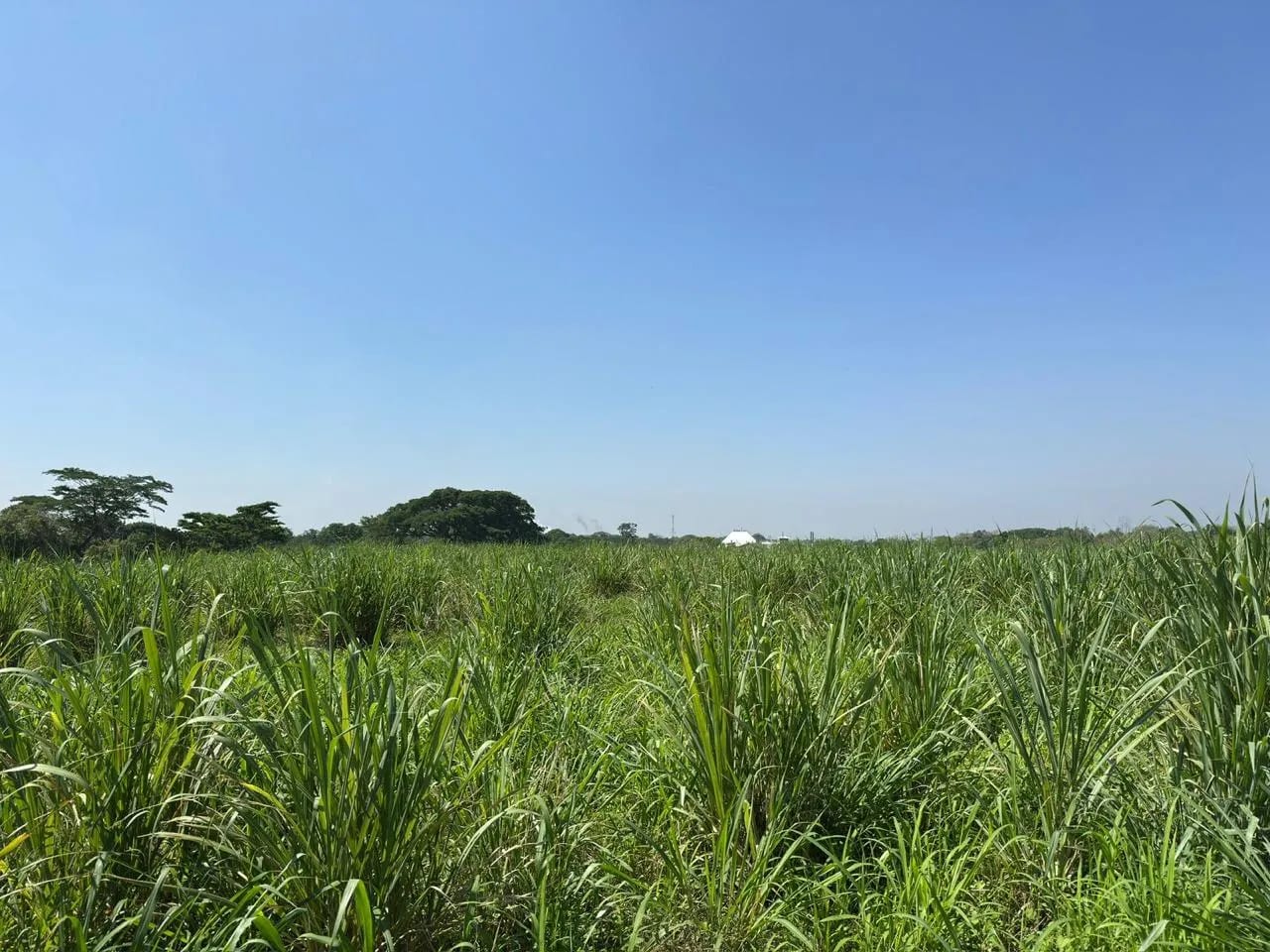 Terreno en venta en Escuintla ideal para desarrollo - totalmente plano — Terreno en Venta en Escuintla, Escuintla — foto 2 de 5