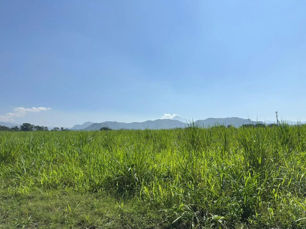 Terreno en venta en Escuintla ideal para desarrollo - totalmente plano — Terreno en Venta en Escuintla, Escuintla — foto 4 de 5