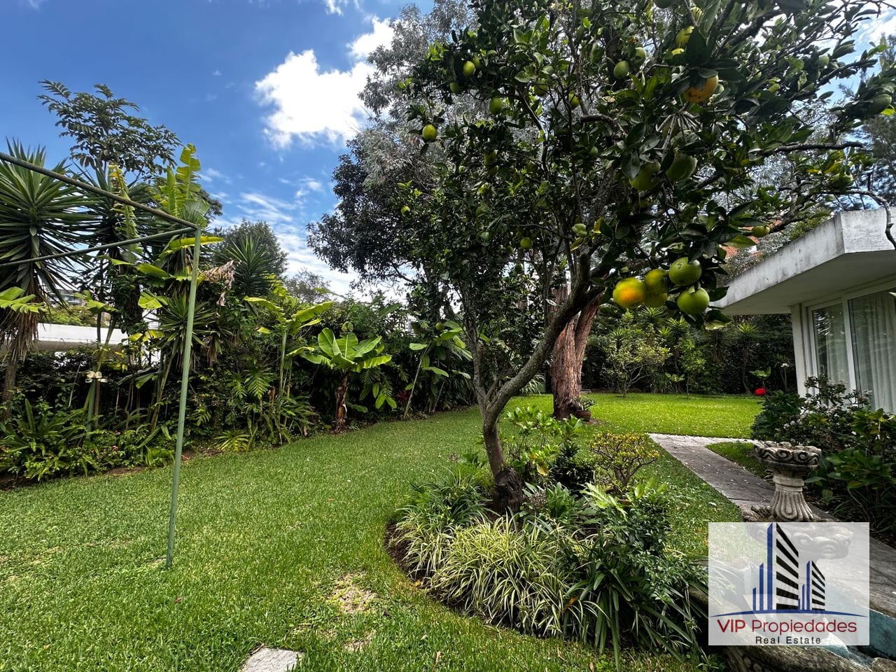 Zona 15 VH II, amplia propiedad de esquina en venta — Casa en Venta en Vista Hermosa II, Zona 15, Guatemala, Ciudad — foto 4 de 6