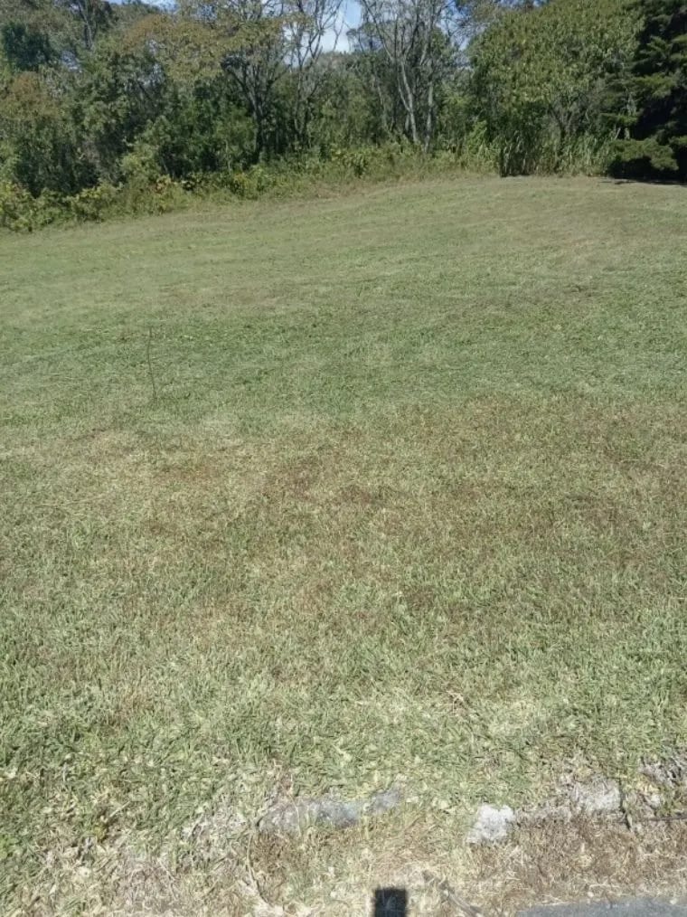 Terreno en Venta en Casa y Campo — Terreno en Venta en Carretera a El Salvador, Guatemala, Ciudad — foto 3 de 5