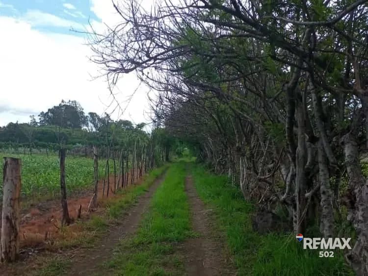 Terreno en venta en Cantón Las Flores, El Progreso, Jutiapa — Terreno en Venta en El Progreso, Jutiapa — foto 1 de 5