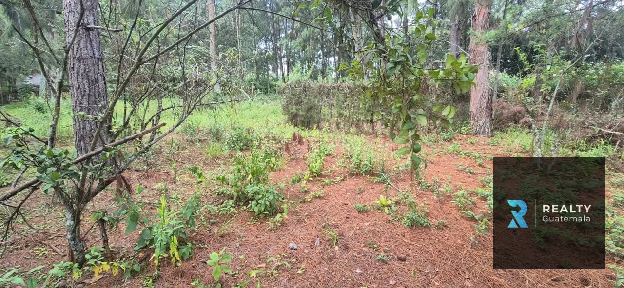 Vendo Terreno km 40 Villas Innsbruck Sto Domingo Xenacoj — Terreno en Venta en Santo Domingo Xenacoj, Sacatepéquez — foto 3 de 4
