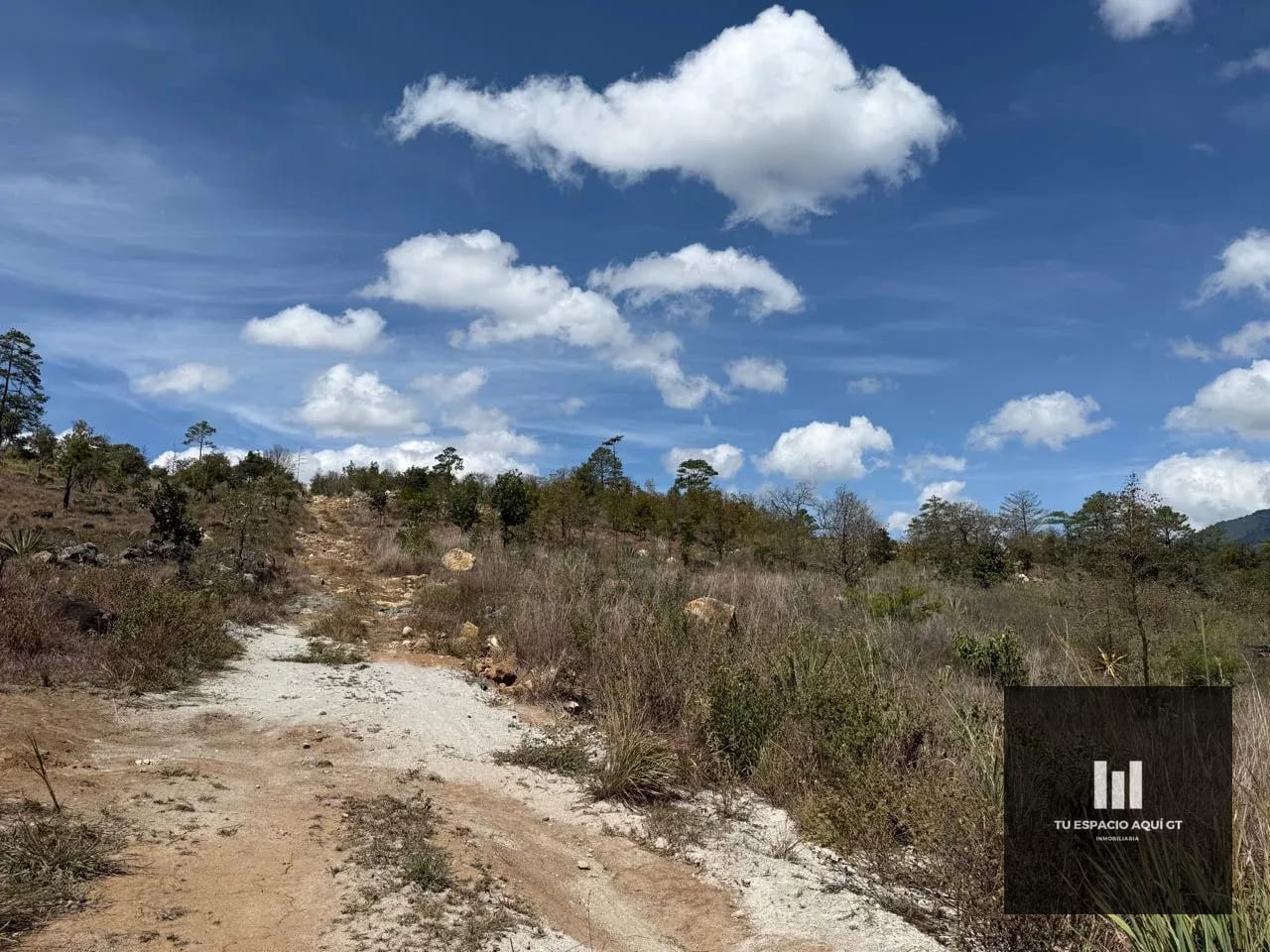 Bello Terreno En Venta En Ciudad Palmeras Jalapa — Terreno en Venta en Jalapa, Jalapa — foto 3 de 5