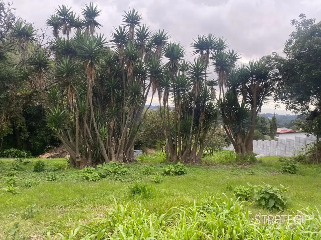 Terreno funcional en Renta CAES km 16 — Terreno en Alquiler en Carretera a El Salvador, Guatemala, Ciudad — foto 5 de 5