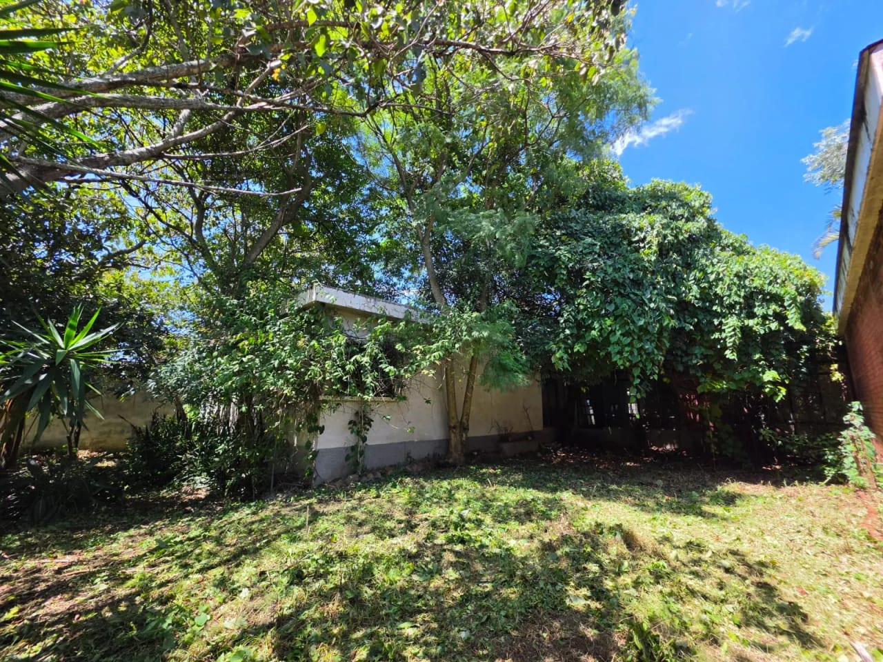 Terreno con Construccion en Venta, el Carmen, Zona 12 | Dentro de Gari — Terreno en Venta en El Carmen, Zona 12, Guatemala, Ciudad — foto 3 de 10