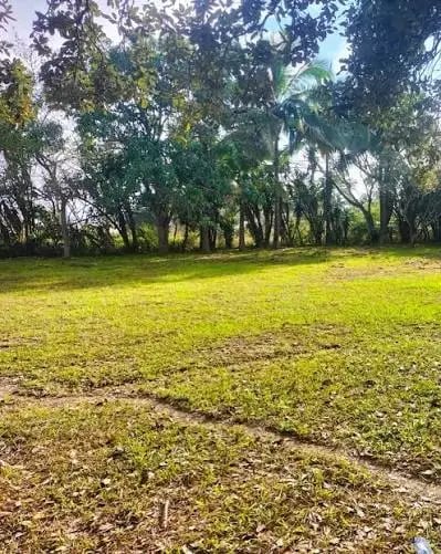 Terreno en Venta KM.64, Cerca de Hino, Hino, 50% Urbanizado (j) — Terreno en Venta en Escuintla, Escuintla — foto 1 de 5