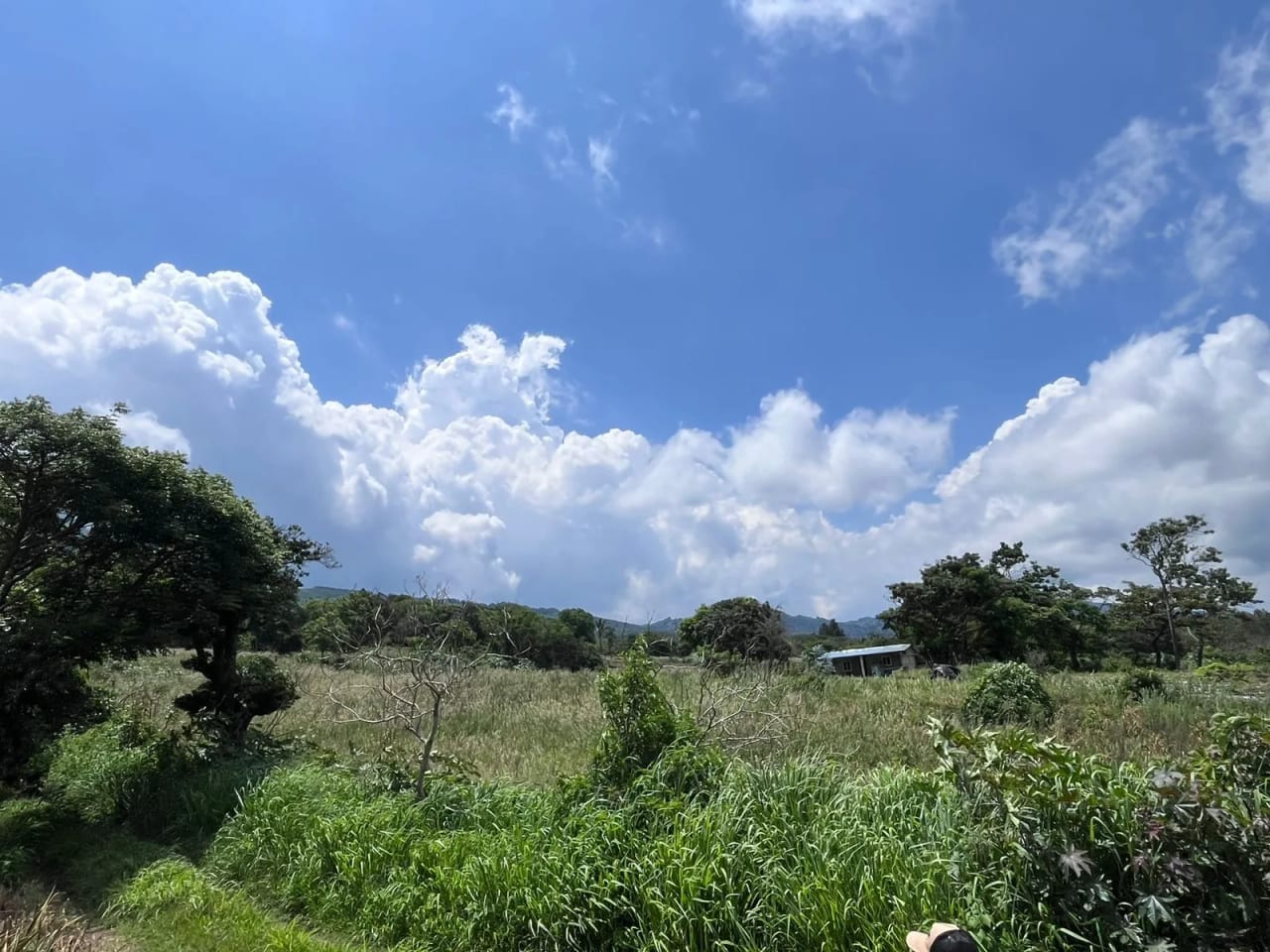 TERRENOS EN VENTA ALDEA LOS LLANOS VILLA CANALES — Terreno en Venta en Santa Elena Barillas, Guatemala, Ciudad — foto 1 de 9