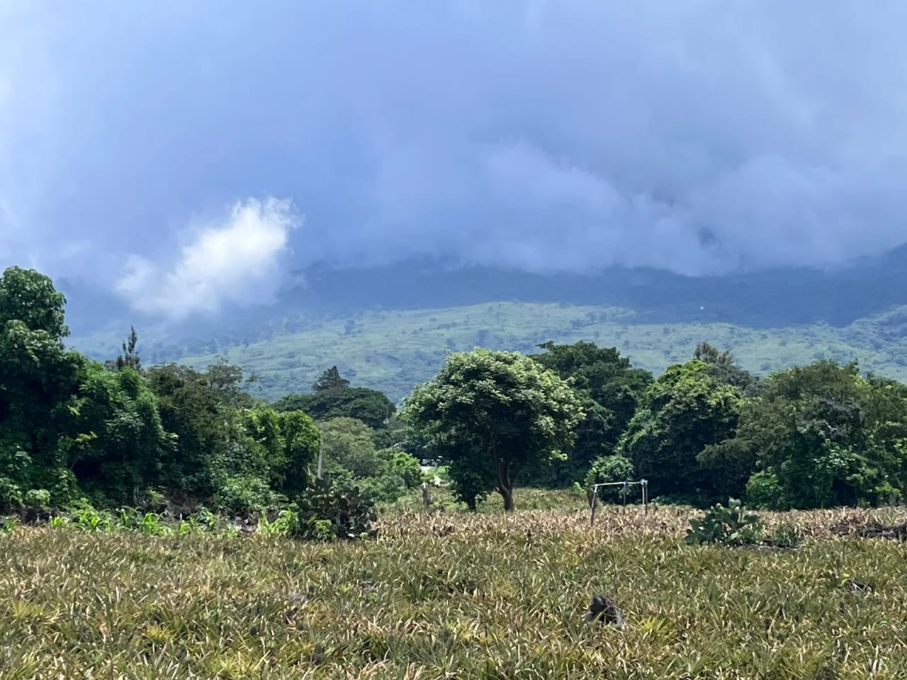 TERRENOS EN VENTA ALDEA LOS LLANOS VILLA CANALES — Terreno en Venta en Santa Elena Barillas, Guatemala, Ciudad — foto 2 de 9