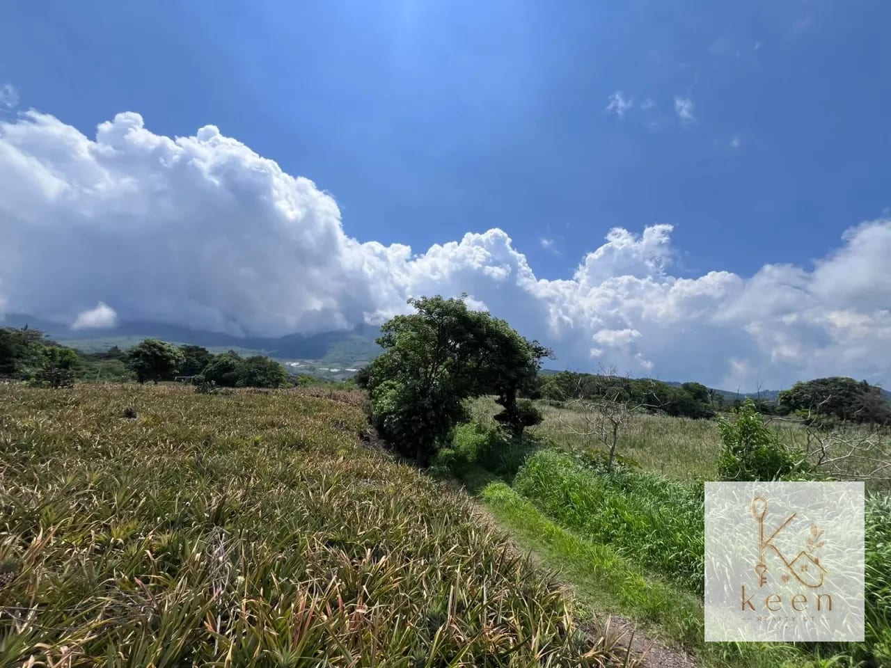 Terrenos en Venta Aldea los Llanos Villa Canales — Terreno en Venta en Santa Elena Barillas, Guatemala, Ciudad — foto 3 de 9