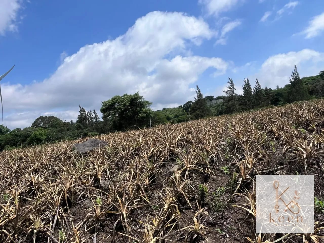 Terrenos en Venta Aldea los Llanos Villa Canales — Terreno en Venta en Santa Elena Barillas, Guatemala, Ciudad — foto 4 de 9
