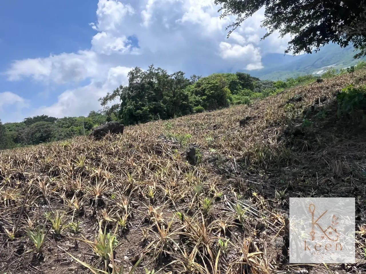 Terrenos en Venta Aldea los Llanos Villa Canales — Terreno en Venta en Santa Elena Barillas, Guatemala, Ciudad — foto 5 de 9