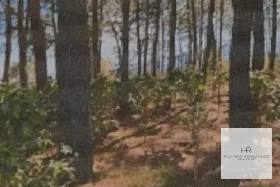 Venta de terreno en Sumpango (Santo Domingo Xenacoj) — Terreno en Venta en Sumpango, Sacatepéquez — foto 2 de 2