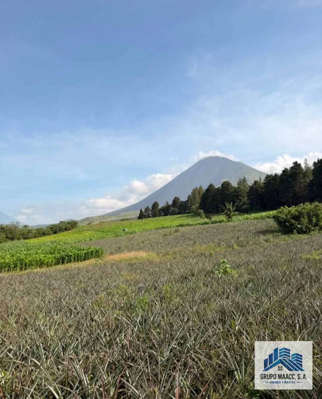 Venta 11 Manzanas Aldea los Pocitos — Finca en Venta en Villa Canales, Guatemala, Ciudad — foto 3 de 7
