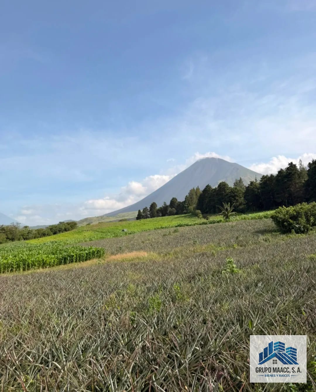 Venta 11 Manzanas Aldea los Pocitos — Finca en Venta en Villa Canales, Guatemala, Ciudad — foto 2 de 7