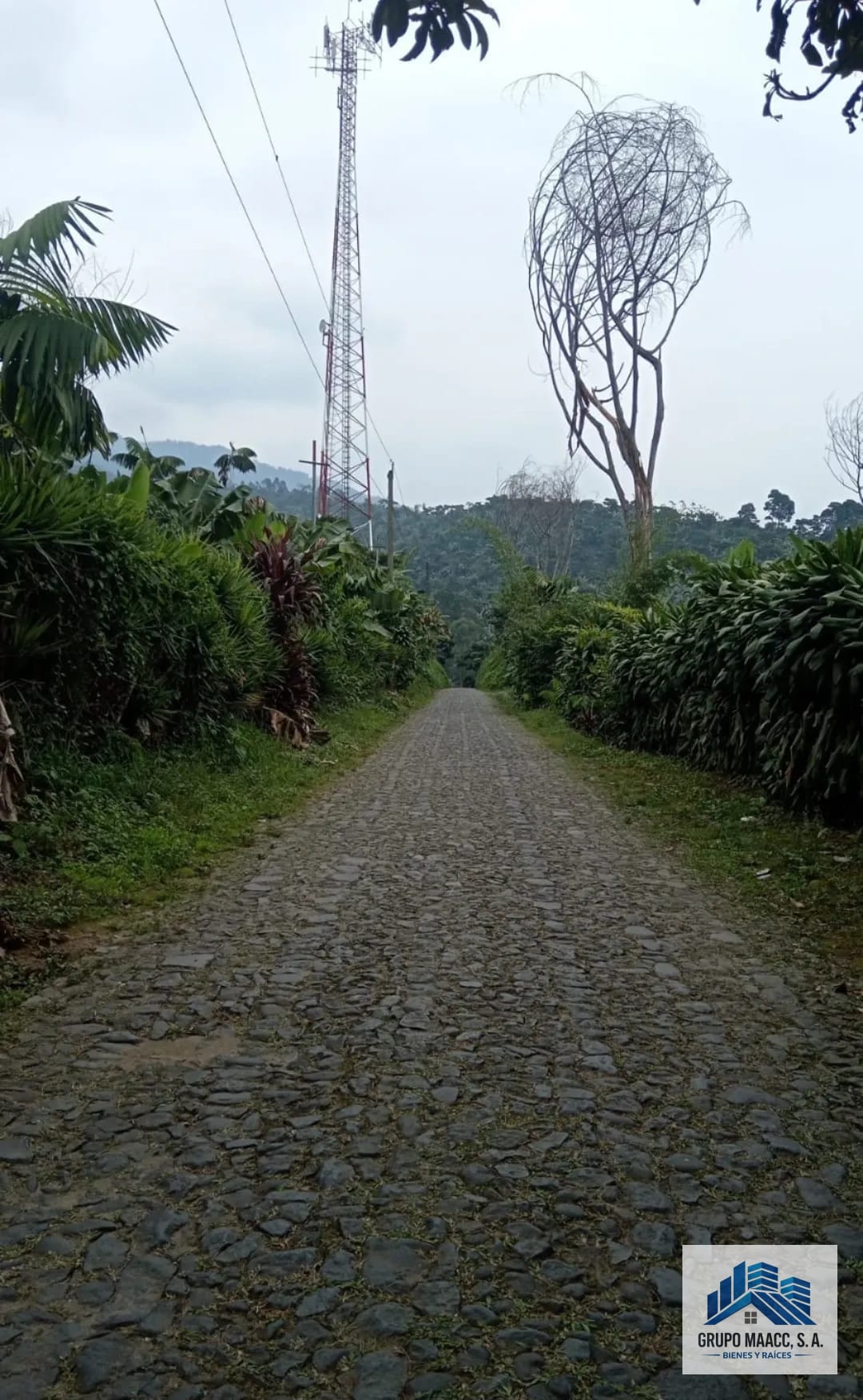 Excelente Oportunidad Venta Finca de Café 9 Caballerias — Finca en Venta en Colomba Costa Cuca, Quetzaltenango — foto 2 de 12