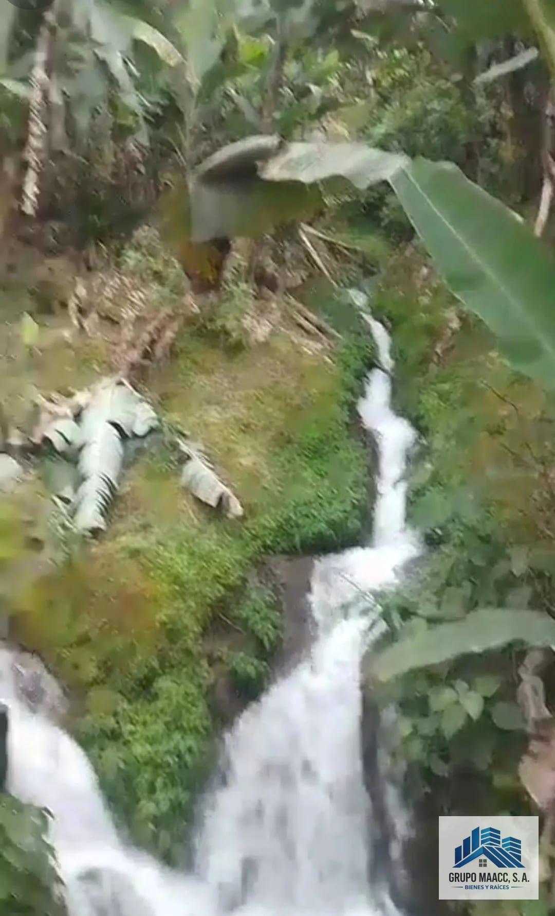 Excelente Oportunidad Venta Finca de Café 9 Caballerias — Finca en Venta en Colomba Costa Cuca, Quetzaltenango — foto 9 de 12