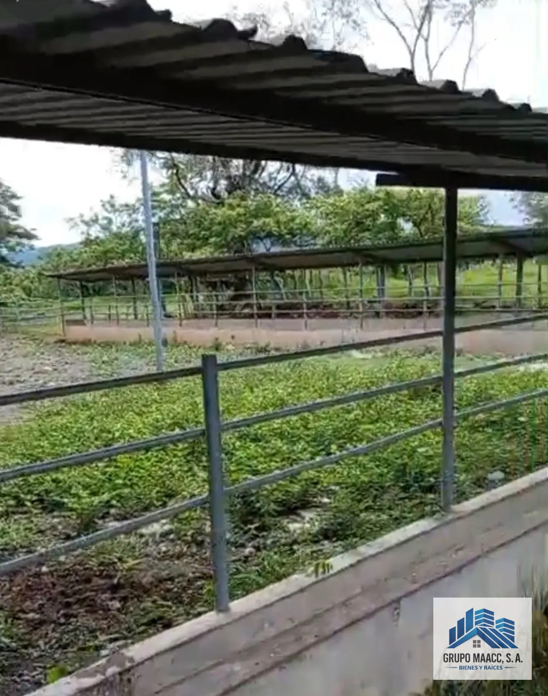 Venta Finca Ganadera y Agrícola Guanagazapa — Finca en Venta en Guanagazapa, Escuintla — foto 6 de 9